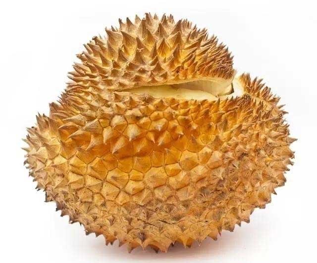 别贪嘴!夏天常吃这些水果小心吃坏身体