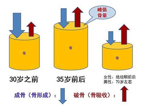 人民健康营养\识\堂:远离骨质疏松,这样做比吃钙片强十倍!